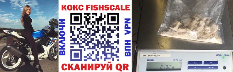 Кокаин FishScale  Купить где  Лесной 