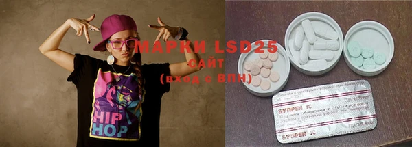 прущие грибы Баксан