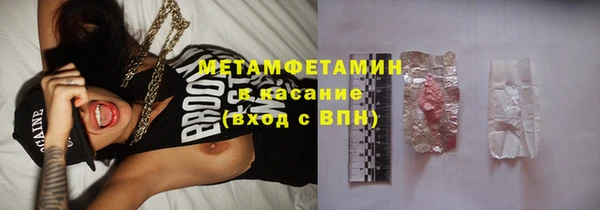 прущие грибы Баксан