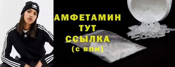 прущие грибы Баксан