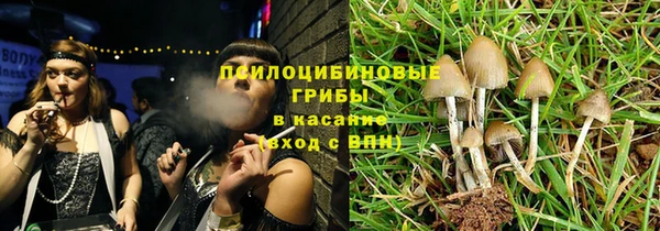 прущие грибы Баксан