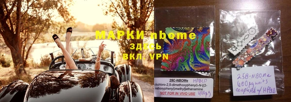 прущие грибы Баксан