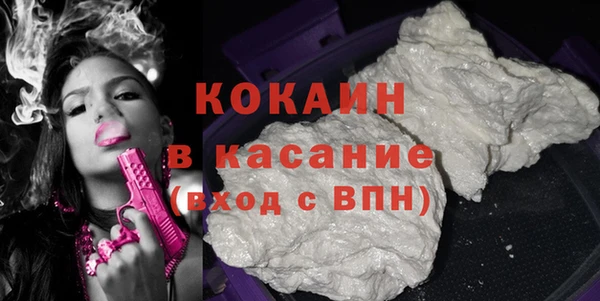 прущие грибы Баксан
