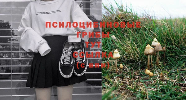 прущие грибы Баксан