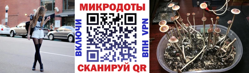 Купить закладки  Лесной  Галлюциногенные грибы Magic Shrooms 